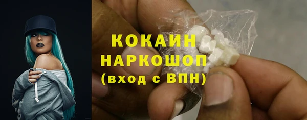 бошки Новодвинск
