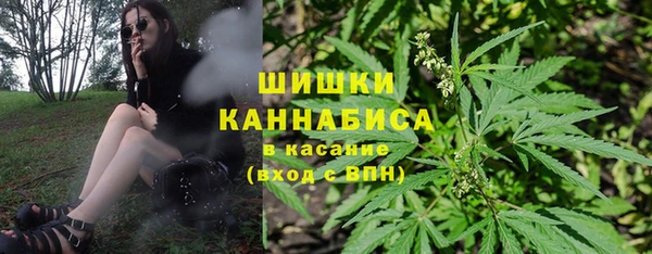 ешки Няндома