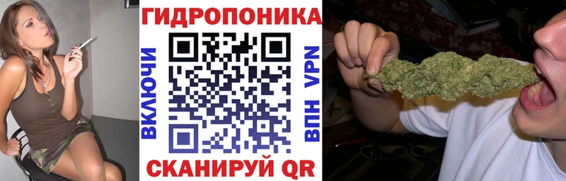 купить  сайты  Красный Кут  Бошки Шишки ГИДРОПОН 